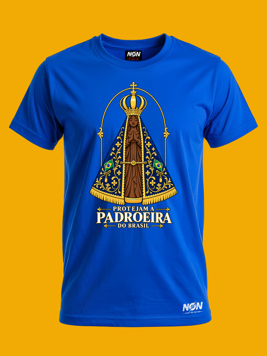 Protejam a Padroeira do Brasil